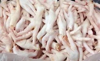 鸡爪养殖爆料视频教程,揭秘视频教程核心内容  第3张