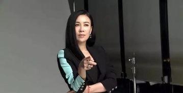 那英事件视频在线观看,网络热议背后的真相揭晓